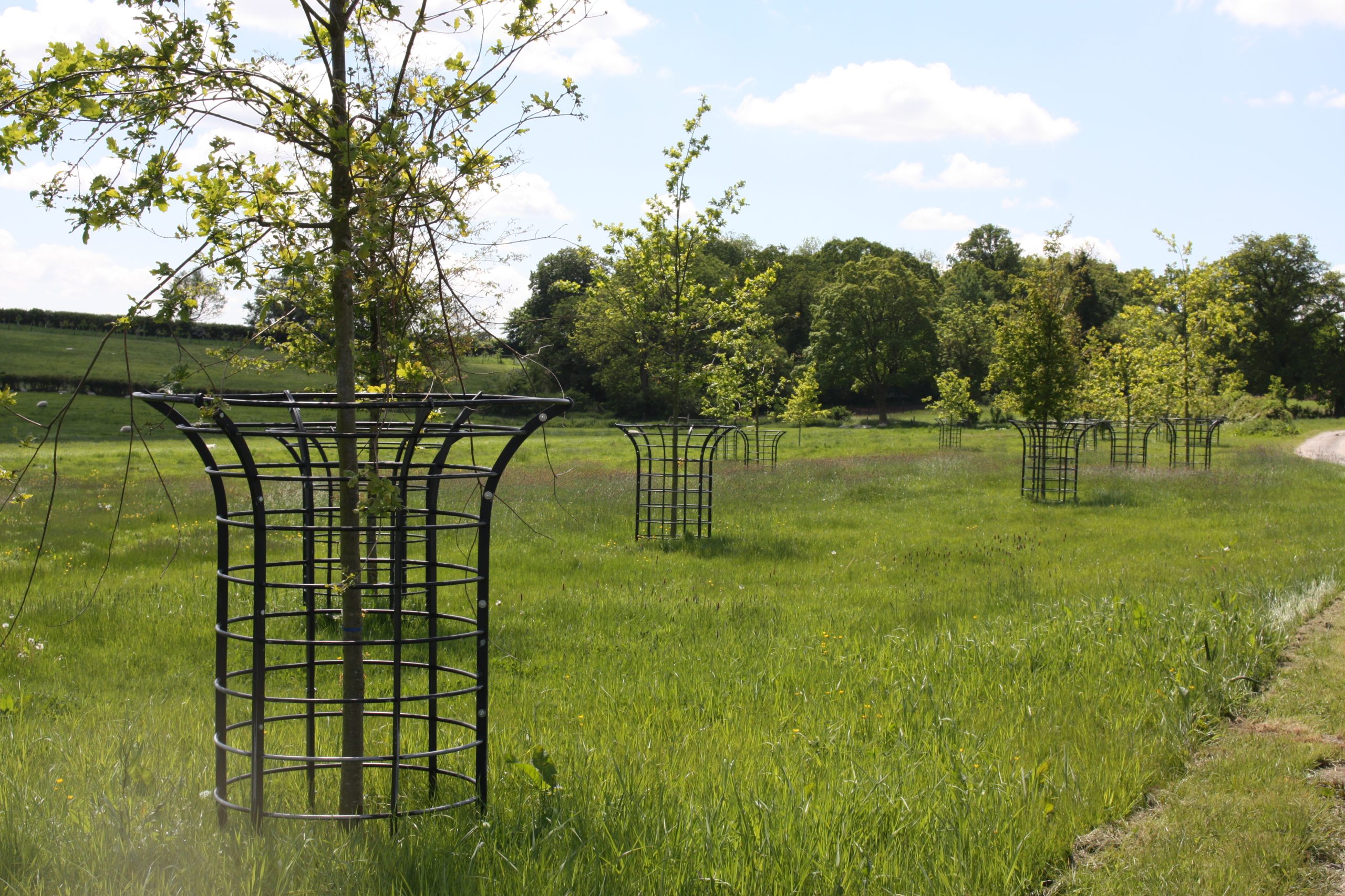 Estate Tree Guards